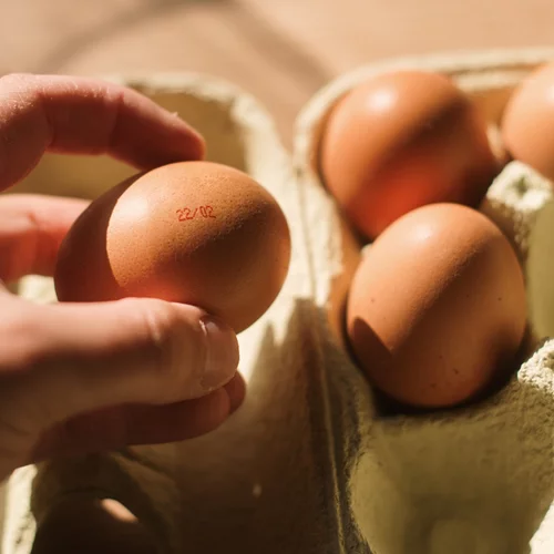 Αυγά: 5 μύθοι που καταρρίπτονται από μία ειδικό
