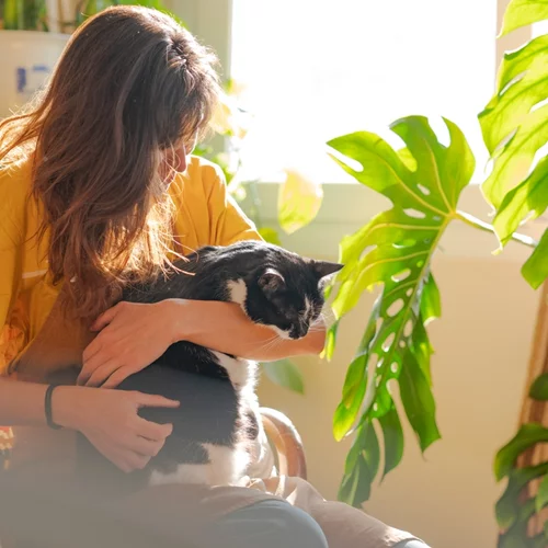 Πώς θα βοηθήσεις το κατοικίδιό σου να ζήσει ως τα βαθιά γεράματα