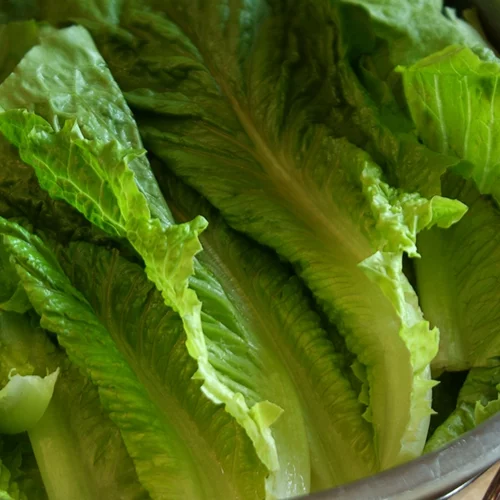 Τρόφιμα που "καίνε" λίπος: Τι λέει η επιστήμη για τις τροφές με μηδενικές θερμίδες;