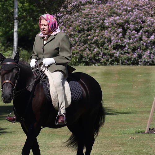 Βασίλισσα Ελισάβετ: Γιατί στενοχωρήθηκαμε περισσότερο στην κηδεία για τα κατοικίδιά της παρά για τα παιδιά της;