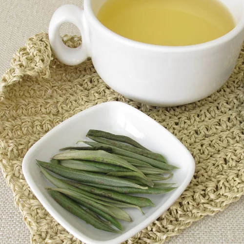 Βελτιώνουν την αρτηριακή πίεση και την υγεία της καρδιάς: Όλα τα οφέλη που έχουν τα φύλλα ελιάς