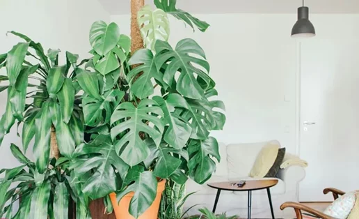 Πώς να κάνεις το σαλόνι σου να δείχνει μεγαλύτερο: 5 tips που πρέπει να ακολουθήσεις