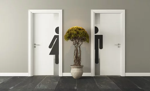 Μας προστατεύει το κάλυμμα για τη λεκάνη στις δημόσιες τουαλέτες; Και ποιος είναι ο αληθινός κίνδυνος;