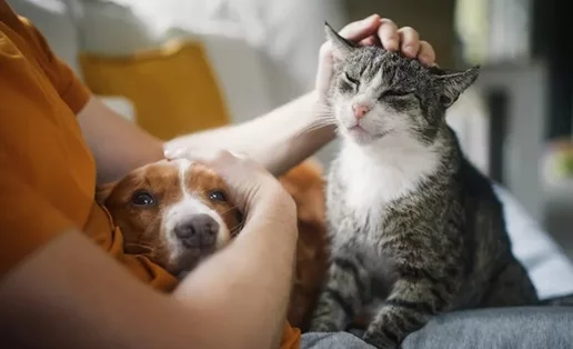 Τα ζώδια σήμερα 10/4: Ημερήσιες προβλέψεις για κάθε ζώδιο