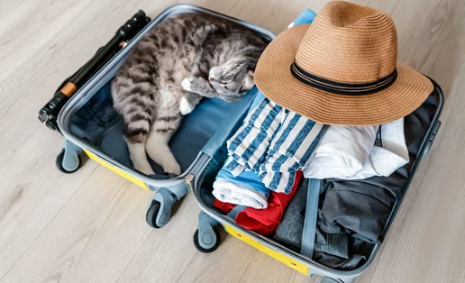 Φεύγεις για διακοπές; Η μέθοδος 5-4-3-2-1 θα σε βοηθήσει να φτιάξεις εύκολα τη βαλίτσα σου