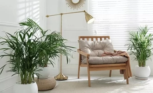 4 φυτά εσωτερικού χώρου που θα μετατρέψουν το σπίτι σου σε "όαση" δροσιάς το καλοκαίρι