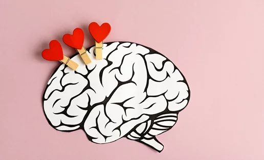 Επιστήμονες ανακάλυψαν το 'κέντρο της αγάπης' στον εγκέφαλο