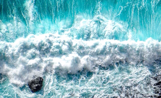 H weDo/ Professional γιορτάζει την Παγκόσμια Ημέρα Ωκεανών