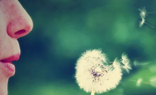 Τα πάντα για τη μύτη: Πώς λειτουργεί, τι κάνουν τα ιγμόρεια, γιατί είσαι μπουκωμένη;