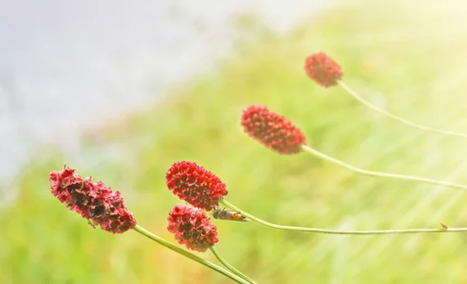 Q+A για την αιμορροφιλία (το ήξερες ότι πλήττει κυρίως τους άντρες και τα αγόρια;)