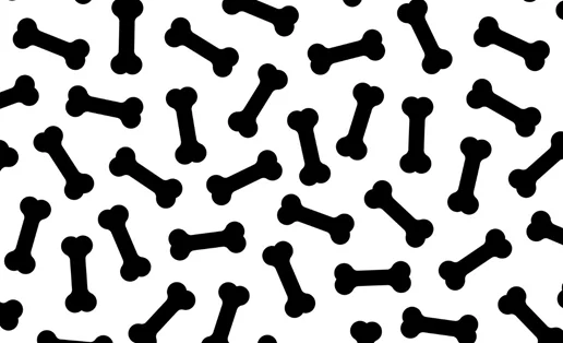 Τι είναι η οστεοπενία και γιατί είναι σημαντικό να την προλάβουμε