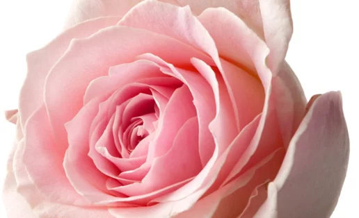 6 ερωτήσεις και απαντήσεις για το μαστογραφικό έλεγχο