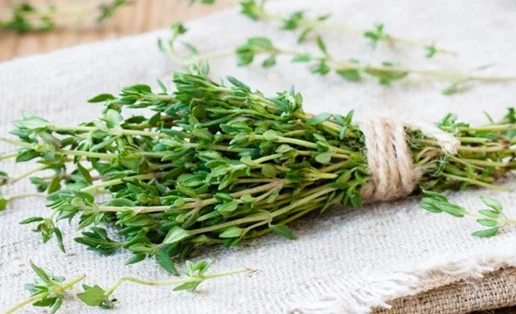 Πότε να μην τρώμε θυμάρι: Οι παρενέργειες που πρέπει να γνωρίζουμε