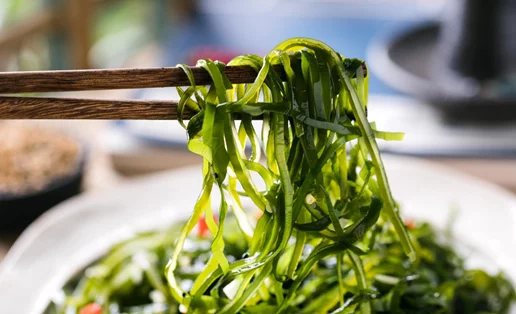 3 φορές περισσότερη πρωτεΐνη! Οι ειδικοί αναλύουν τον διατροφικό θησαυρό των φυκιών