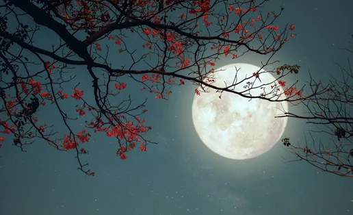 Ανατρεπτική και θυμωμένη η Πανσέληνος στον Κριό στις 17/10/2024: Ποια ζώδια θα πρέπει να προσέξουν;