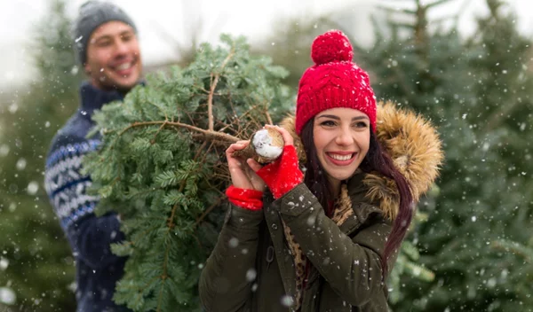 Έχεις χριστουγεννιάτικο δέντρο στο σπίτι; Είσαι πιο υγιής!