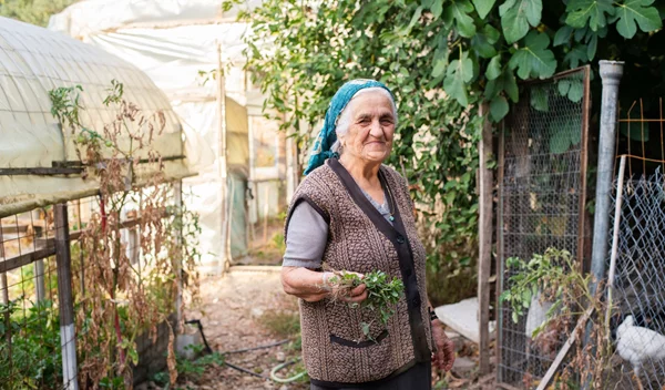 Ζήσε μέχρι τα 100: Τι τρώνε, πώς κινούνται και ποιοι είναι οι κανόνες των μακροβιότερων στον κόσμο