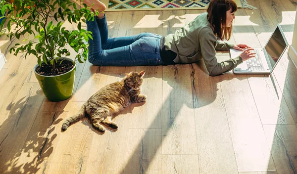 Το no1 φυτό που διώχνει τις κατσαρίδες μακριά - χωρίς χημικά