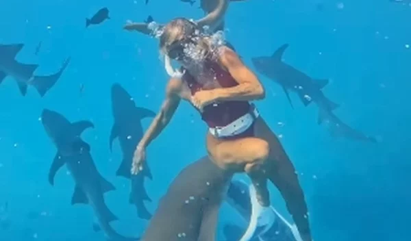 Viral το βίντεο βραζιλιάνας influencer από τις Μαλδίβες που τη δάγκωσε καρχαρίας - Ξεπέρασε τις 18 εκατ. προβολές