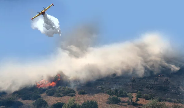 Πυρκαγιές στην Ελλάδα: Πότε ο καπνός γίνεται επικίνδυνος και πώς να προστατευτείς