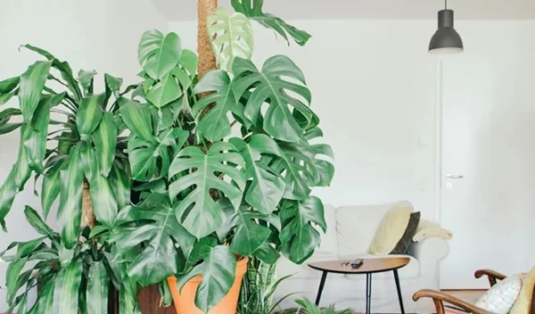 Πώς να κάνεις το σαλόνι σου να δείχνει μεγαλύτερο: 5 tips που πρέπει να ακολουθήσεις