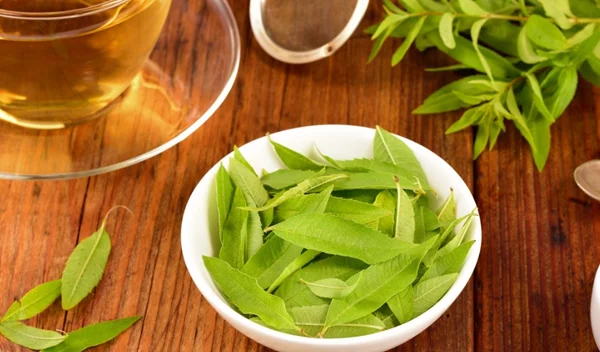 Αφέψημα λουίζας: Για την κατακράτηση υγρών, το φούσκωμα και την πέψη