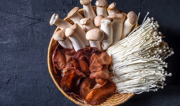 Μανιτάρια: Τα 7 κορυφαία είδη για να τα μαγειρέψεις!