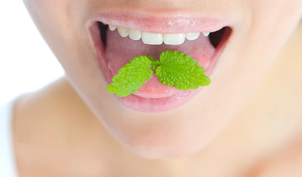Καταπολέμησε ουλίτιδα και άφθες με αυτό το ελληνικό βότανο!