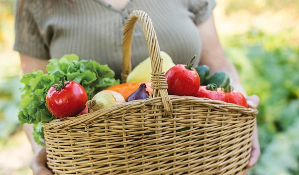 Τα φρούτα και λαχανικά του Σεπτεμβρίου που αξίζει να βάλεις στο καλάθι σου