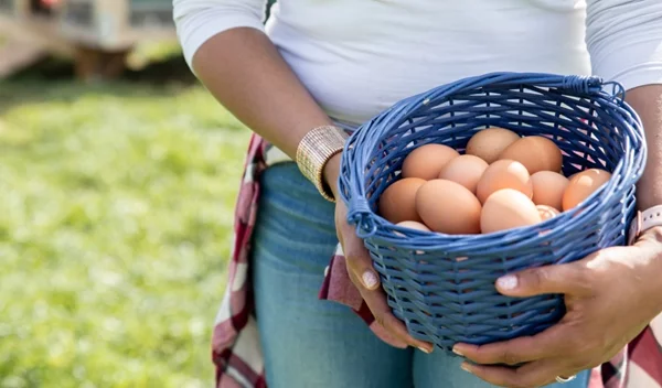 Αν τρώμε κάθε μέρα αυγό: Τι μπορεί να συμβεί στο σώμα μας