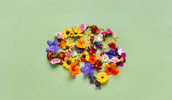 Πώς να κάνεις τον εγκέφαλό σου 10 χρόνια νεότερο