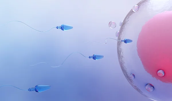 Κατάψυξη ωαρίων: Ποια είναι τα νέα επιστημονικά δεδομένα και τα οφέλη της;