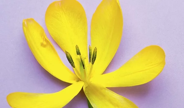 Τι προσφέρει το Τμήμα Κλιμακτηρίου και Εμμηνόπαυσης του Αρεταίειου Νοσοκομείου