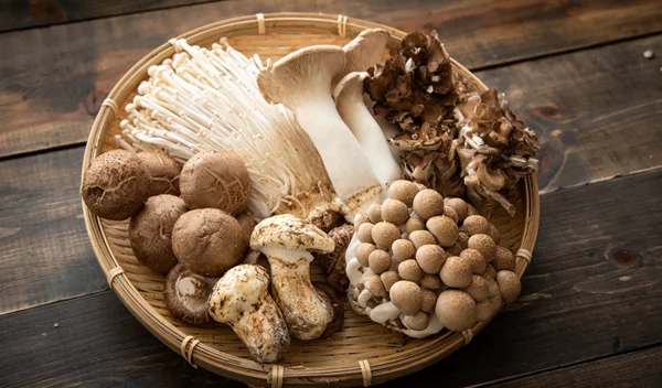 Μανιτάρια στη νηστεία: Ποια περιέχουν την περισσότερη πρωτεΐνη;
