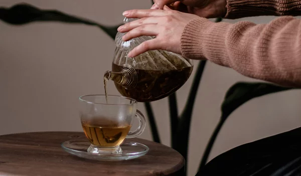 Τα 14 βότανα που μπορούν να αντικαταστήσουν το φαρμακείο σου