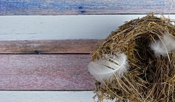 Σύνδρομο της άδειας φωλιάς: 10 tips για να νιώσεις καλύτερα