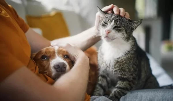 Τα ζώδια σήμερα 10/4: Ημερήσιες προβλέψεις για κάθε ζώδιο