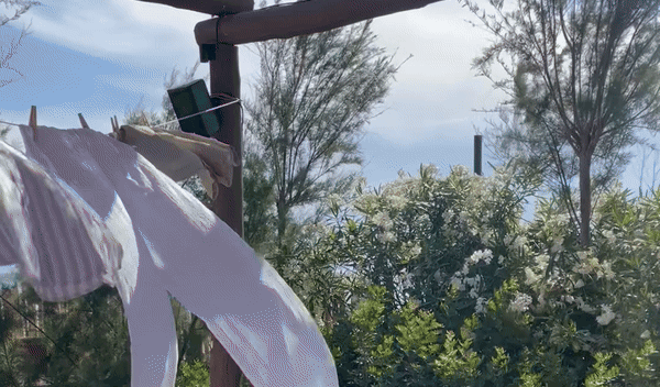 MissBloom Summer Party | Τα highlights μιας βραδιάς που θα θυμόμαστε για καιρό