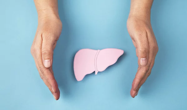 Γαϊδουράγκαθο, πικραλίδα και αγκινάρα: Αν η ηπατική υγεία "φώναζε" για βοήθεια, θα έλεγε (και) αυτές τις λέξεις