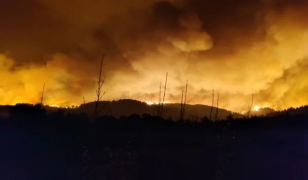 Φωτιές - Ιατρικός Σύλλογος: Οδηγός προστασίας από την ατμοσφαιρική ρύπανση