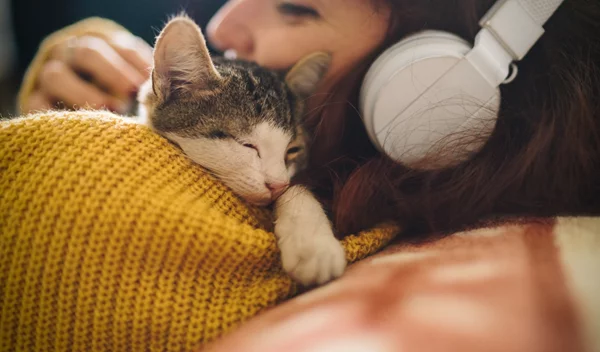 Spotify Wrapped 2024: Γιατί μας αρέσει να το μοιραζόμαστε στα social media;