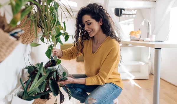 Back up Plant: Τα λάθη που δεν πρέπει να κάνουμε όταν φέρνουμε τα φυτά μας μέσα στο σπίτι για τον χειμώνα