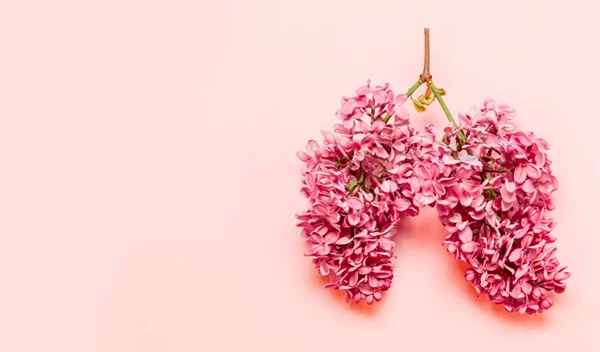 Μπορεί να προληφθεί ο καρκίνος του πνεύμονα; Μία νέα διαδικασία που προτείνουν 55 ειδικοί υγείας