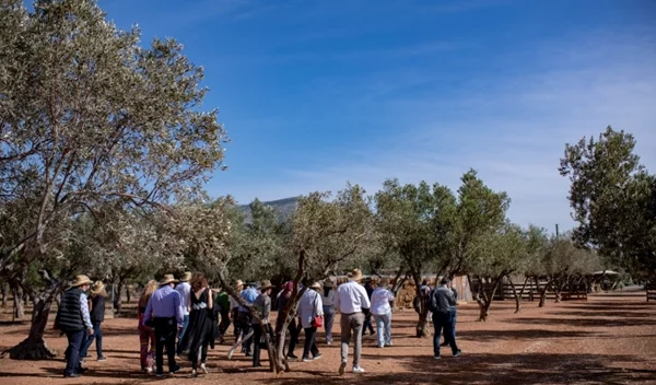 Sobi: Η εταιρεία που χαρίζει "σπάνια" δύναμη σε "σπάνιους" ανθρώπους