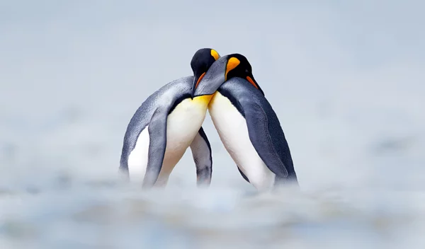 Pebbling | Πώς ένα βότσαλο βοηθά μια σχέση;