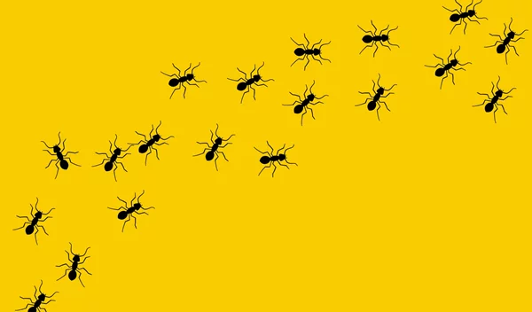 Μυρμήγκια: 3 τρόποι να τα εξολοθρεύσεις χωρίς εντομοκτόνο