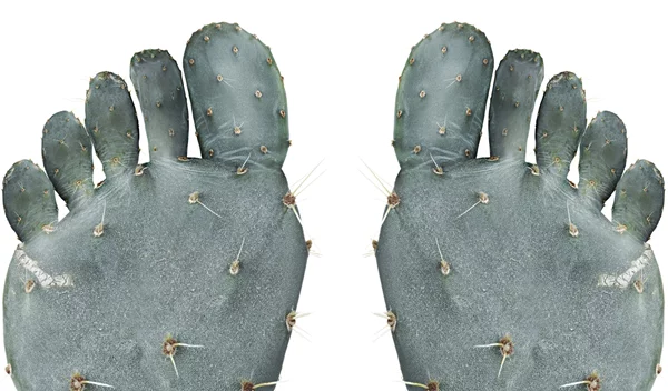 Τι αποκαλύπτουν τα δάκτυλα των ποδιών σου για την υγεία σου;