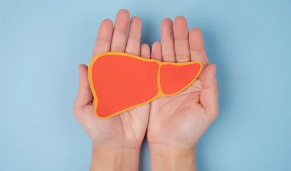 Λίπος στο συκώτι: Γιατί είναι σοβαρό και πώς μπορεί να μειωθεί