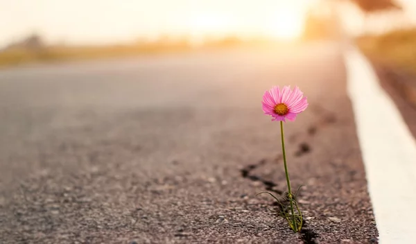 Τι είναι η ψυχική ανθεκτικότητα και γιατί όσοι την κατακτήσουν θα ζουν καλύτερα