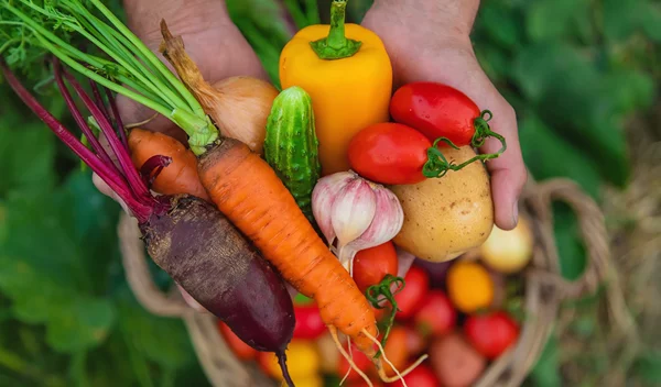Λεπτή μέση με αυτά τα λαχανικά- έκπληξη